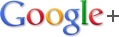 Page Google Plus de CV Conseils