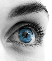 CV Conseils : oeil bleu, au regard attentif