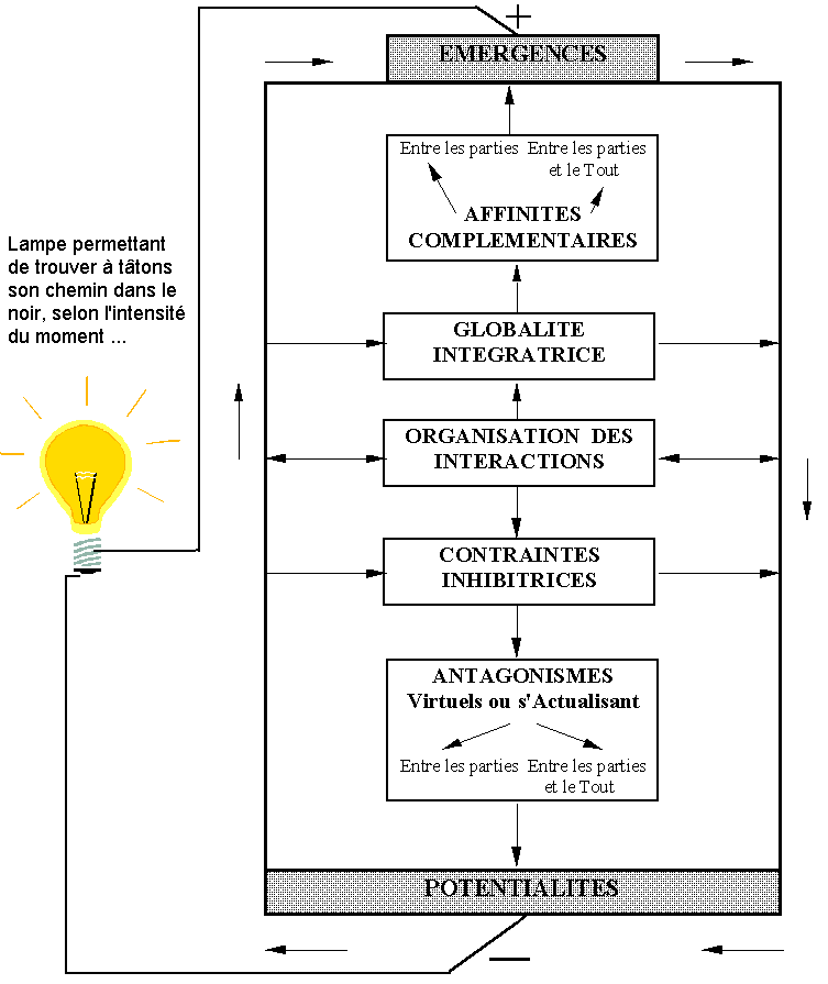 CV Conseils : Schéma d'une pile complexe à 
        différence de potentiel variable